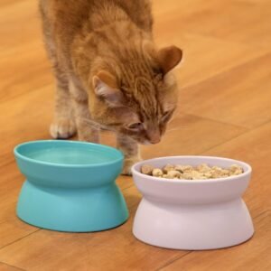 Leia mais sobre o artigo Kitty City Tigela de comida elevada para gatos Review é seguro?